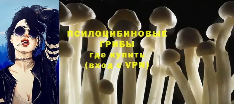 Псилоцибиновые грибы Magic Shrooms  Мышкин 